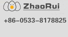 Zhejiang ruipeng automobile electric appliance co.,ltd.